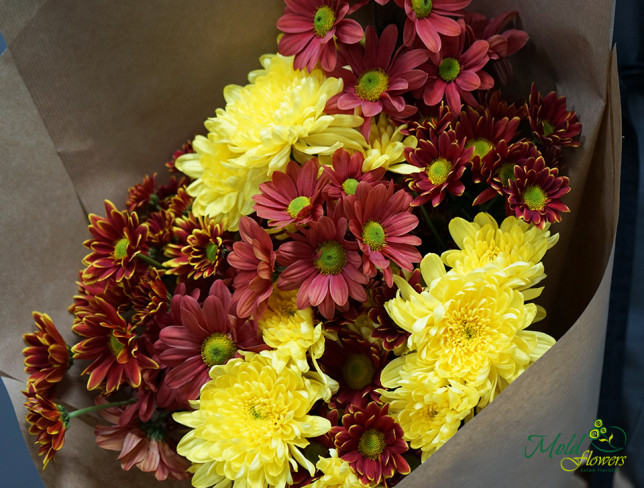 Chrysanthemum Bouquet photo